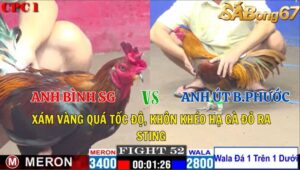 TRẬN 52 CPC1 04/11/2024 : ANH PHÚC QUẬN 4 VS ANH TỚI