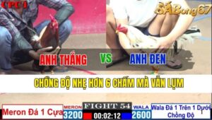 TRẬN 54 CPC1 12/11/2024 : ANH THẮNG VS ANH ĐEN