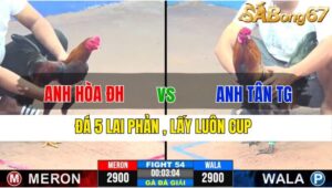 TRẬN 54 CPC3 19/11/2024 : ANH HÒA ĐỨC HÒA VS ANH TÂN TIỀN GIANG