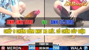 TRẬN 54 CPC3 26/11/2024 : ANH SINH BẾN TRE VS ANH TƯ BẾN TRE