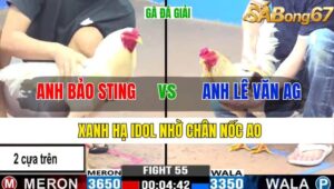 TRẬN 55 CPC3 09/11/2024 : ANH BẢO STING VS ANH LÊ VĂN AN GIANG