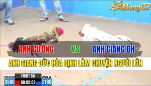 TRẬN 55 CPC3 17/11/2024 : ANH CƯỜNG VS ANH GIANG ĐỨC HÒA