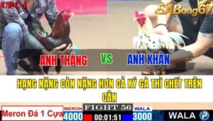 TRẬN 56 CPC1 12/11/2024 : ANH THẮNG VS ANH KHÀN