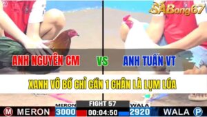 TRẬN 57 CPC3 18/11/2024 : ANH NGUYÊN CÀ MAU VS ANH TUẤN VŨNG TÀU