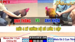 TRẬN 58 CPC1 12/11/2024 : ANH THẮNG VS ANH KHÀN