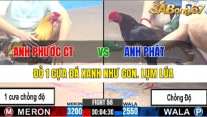 TRẬN 58 CPC3 26/11/2024 : ANH PHƯỚC CẦN THƠ VS ANH PHÁT