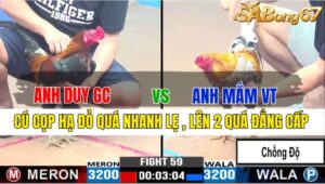 TRẬN 59 CPC3 18/11/2024 : ANH DUY GÒ CÔNG VS ANH MẮM VŨNG TÀU