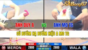 TRẬN 59 CPC3 19/11/2024 : ANH DUY A VS ANH MO TIỀN GIANG