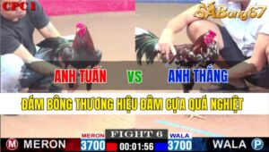 TRẬN 6 CPC1 23/11/2024: ANH TUẤN VL VS ANH THẮNG