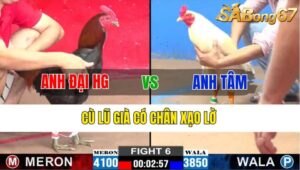 TRẬN 6 CPC2 06/11/2024 : ANH ĐẠI HẬU GIANG VS ANH TÂM