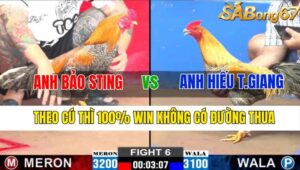 TRẬN 6 CPC2 08/11/2024 : ANH BẢO STING VS ANH HIẾU TIỀN GIANG