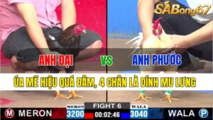 TRẬN 6 CPC2 24/11/2024: ANH ĐẠI VS ANH PHƯỚC ĐT