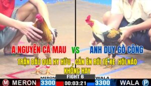 TRẬN 6 CPC3 03/11/2024: Anh Nguyên Cà Mau VS anh Duy Gò Công