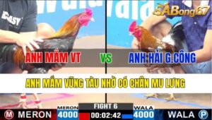 TRẬN 6 CPC3 06/11/2024 : ANH MẮM VŨNG TÀU VS ANH HẢI GÒ CÔNG