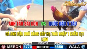 TRẬN 6 CPC3 08/11/2024 : ANH TÂN SÀI GÒN VS QUỐC ĐẬU SÀI GÒN