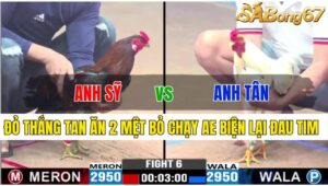 TRẬN 6 CPC3 22/11/2024: ANH SỸ L.AN VS ANH TÂN SG