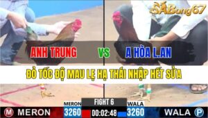 TRẬN 6 CPC3 27/11/2024 : ANH TRUNG VS ANH HÒA LONG AN