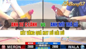 TRẬN 60 CPC3 19/11/2024 : ANH TƯ CAO LÃNH VS ANH MÍT TRÀ CÚ