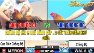 TRẬN 61 CPC3 16/11/2024 : ANH PHƯỚC CẦN THƠ VS ANH PHONG CAO LÃNH