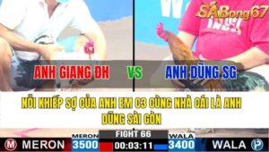 TRẬN 66 CPC3 16/11/2024 : ANH GIANG ĐỨC HÒA VS ANH DŨNG SÀI GÒN