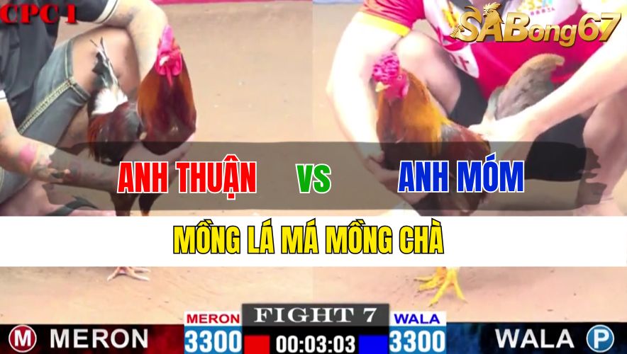 TRẬN 7 CPC1 21/11/2024 : ANH THUẬN CẦN THƠ VS ANH MÓM