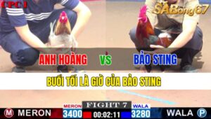 TRẬN 7 CPC1 23/11/2024: ANH TÀI VS ANH THẮNG BTRE