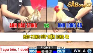 TRẬN 7 CPC2 06/11/2024 : ANH BẢO STING VS ANH LONG 4G