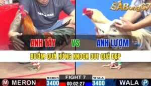 TRẬN 7 CPC2 15/11/2024 : ANH TÂY VS ANH LƯỢM