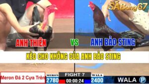 TRẬN 7 CPC2 20/11/2024 : ANH THIÊN VS ANH BẢO STING