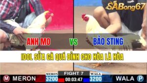 TRẬN 7 CPC2 24/11/2024: ANH MO TG VS ANH BẢO STING