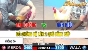 TRẬN 71 CPC3 21/11/2024: ANH CƯỜNG VS ANH HIẾU BẾN TRE