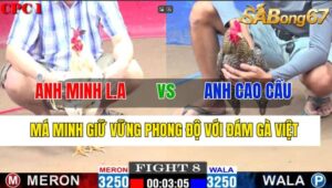 TRẬN 8 CPC1 07/11/2024 : ANH MINH LONG AN VS ANH CAO CẦU