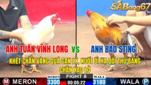 TRẬN 8 CPC2 03/11/2024 : Anh Tuấn Vĩnh Long vs anh Bảo Sting