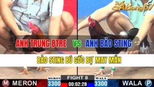 TRẬN 8 CPC2 13/11/2024 : ANH TRUNG BẾN TRE VS ANH BẢO STING