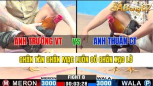 TRẬN 8 CPC3 06/11/2024 : ANH TRƯỜNG VŨNG TÀU VS ANH THUẬN CẦN THƠ