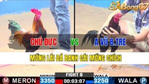 TRẬN 8 CPC3 14/11/2024 : CHÚ ĐỰC VS ANH VŨ BẾN TRE