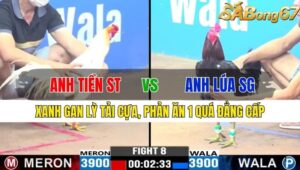 TRẬN 8 CPC3 15/11/2024 : ANH TIỀN SÓC TRĂNG VS ANH LÚA SÀI GÒN