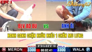 TRẬN 9 CPC1 23/11/2024: BLV AD BU VS ANH ÁI