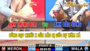 TRẬN 9 CPC2 06/11/2024 : ANH TRUNG BẾN TRE VS ANH BẢO STING