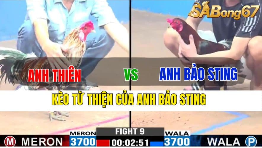 TRẬN 9 CPC2 20/11/2024 : ANH THIÊN VS ANH BẢO STING