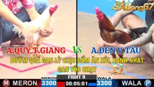 TRẬN 9 CPC3 04/11/2024 : ANH QUÝ TIỀN GIANG VS ANH ĐEN VŨNG TÀU