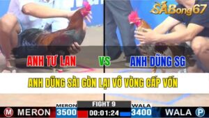 TRẬN 9 CPC3 19/11/2024 : ANH TƯ LAN VS ANH DŨNG SÀI GÒN