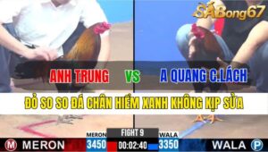 TRẬN 9 CPC3 25/11/2024 : ANH TRUNG VS ANH QUANG CHỢ LÁCH