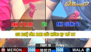 TRẬN 18 CPC3 29/12/2024 : ANH LỲ BẾN TRE VS ANH QUANG VŨNG TÀU