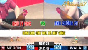 TRẬN 23 CPC3 29/12/2024 : CHÚ LY CPC VS ANH CƯỜNG CẦN THƠ