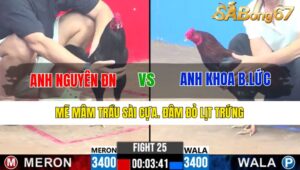 TRẬN 25 CPC3 29/12/2024 : ANH NGUYÊN ĐỒNG NAI VS ANH KHOA BẾN LỨC