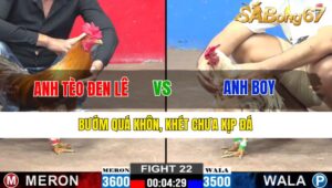 TRẬN 22 CPC2 29/12/2024 : ANH TÈO ĐEN LÊ VS ANH BOY