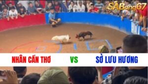 TRẬN 2 : NHÂN CẦN THƠ VS SỞ LƯU HƯƠNG