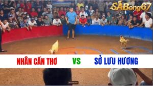 TRẬN 4 : NHÂN CẦN THƠ VS SỞ LƯU HƯƠNG