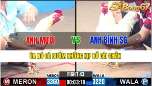 TRẬN 43 CPC3 4/12/2024 : ANH MƯỜI VS ANH BÌNH SÀI GÒN